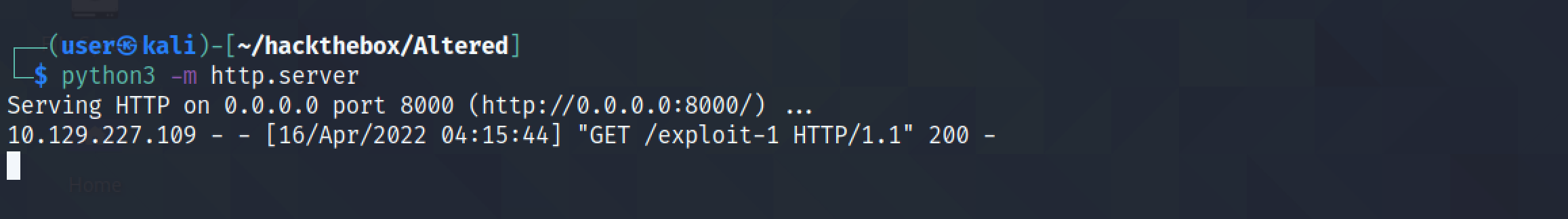 File retrieved from the Python web server.
