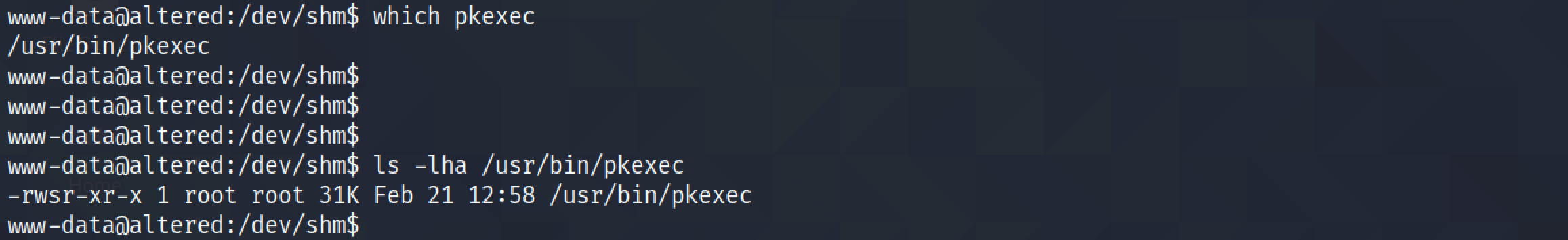 Looking for a binary that has the suid bit set.