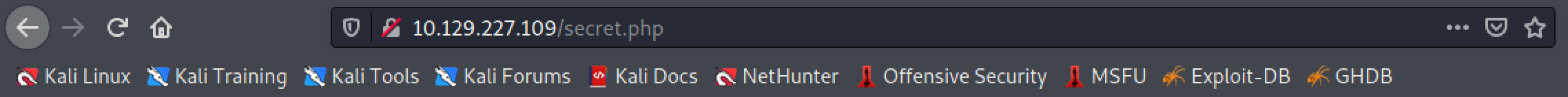 Running the reverse shell script through the web browser.