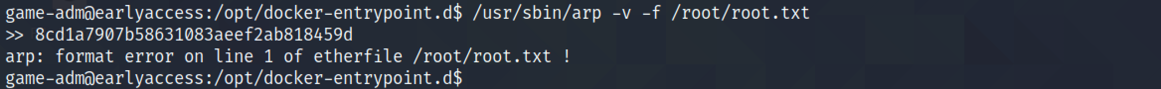 Viewing the root file.