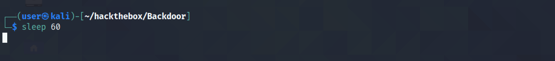 Running sleep to pause the terminal.