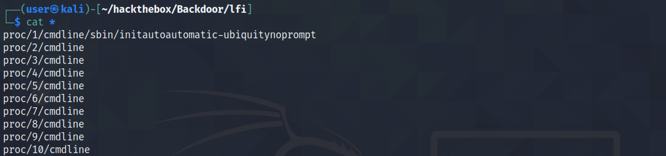 Listing all the commands that were used to run the processes.