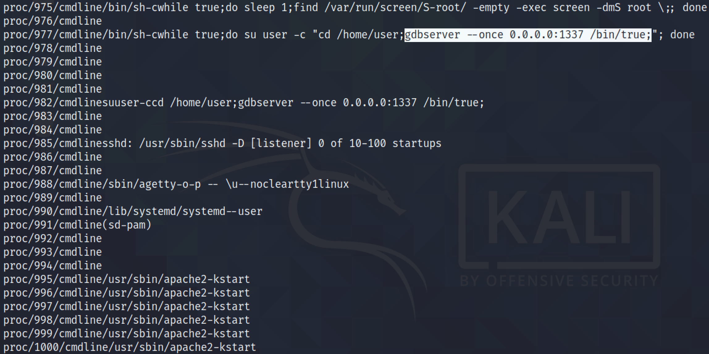 Listing all the commands that were used to run the processes.