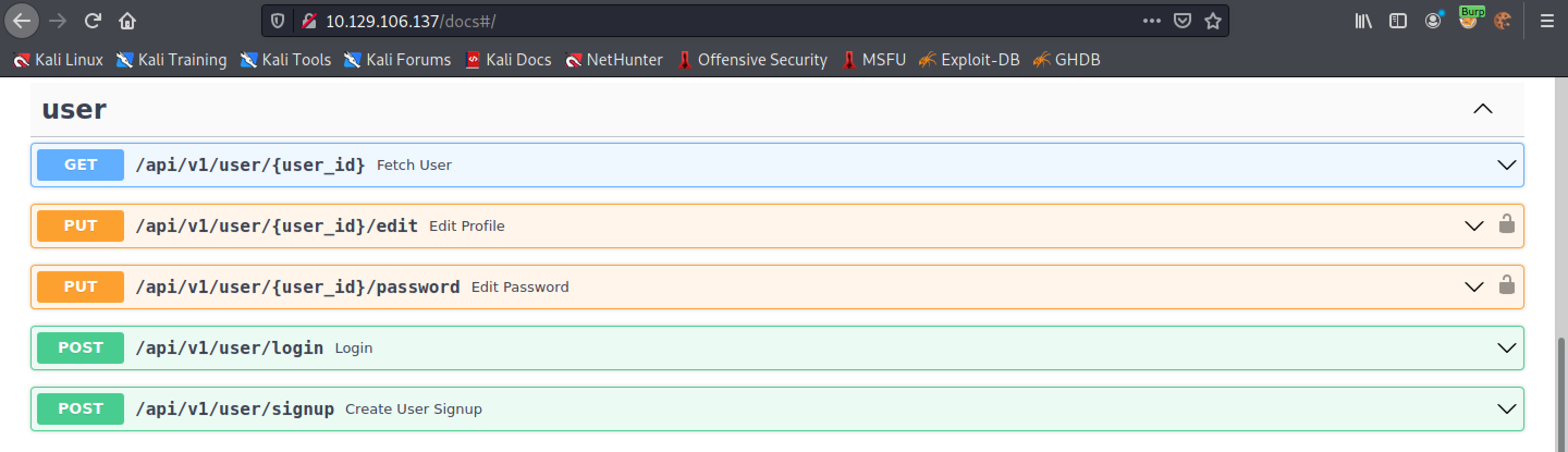 Options available for the user in the API documentation.