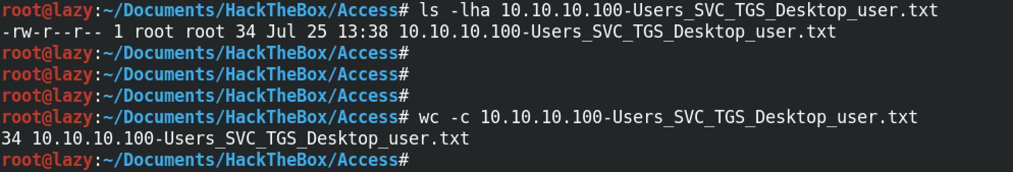 Accessing the contents of the downloaded file.