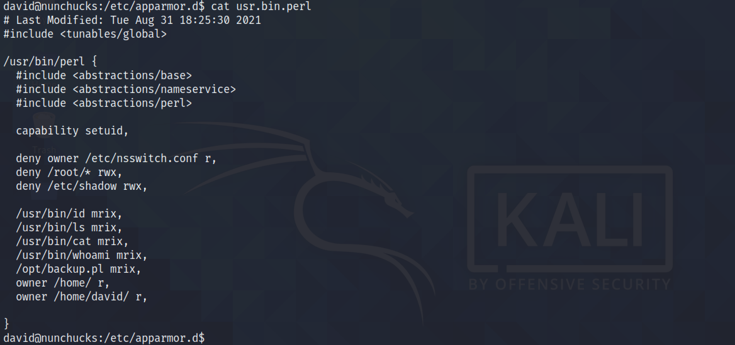 AppArmor configuration for Perl.