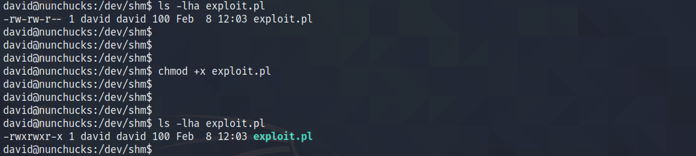 Make the exploit executable.