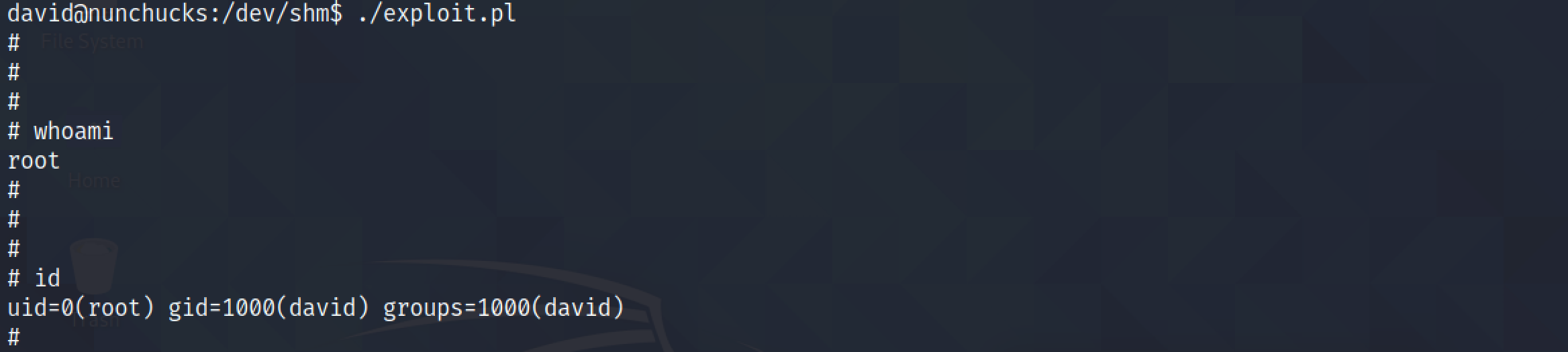 Execute the script to gain root shell.
