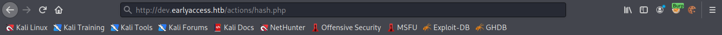 Trying to access the hash.php page.