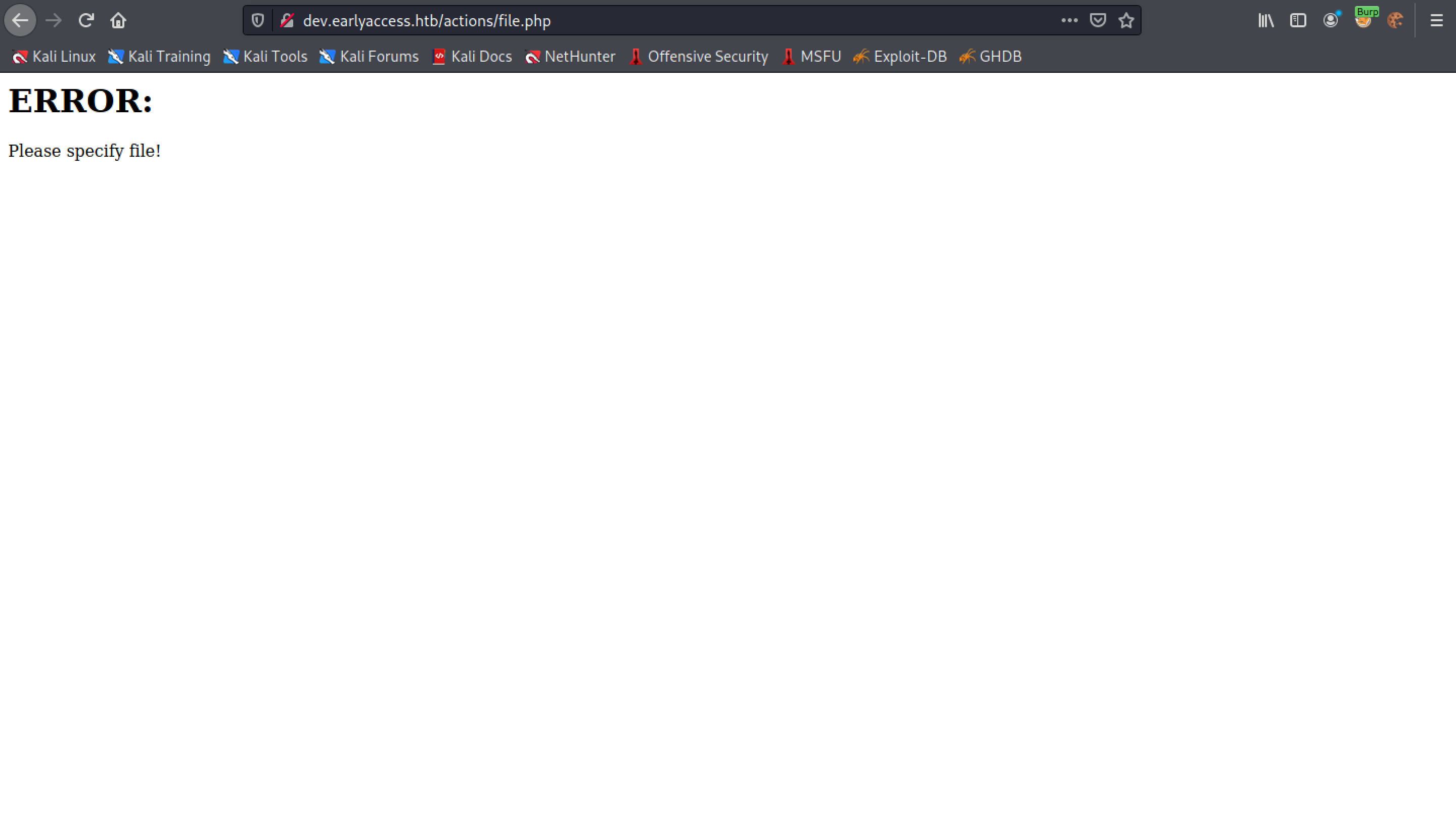 file.php page which asks us to specify a file.