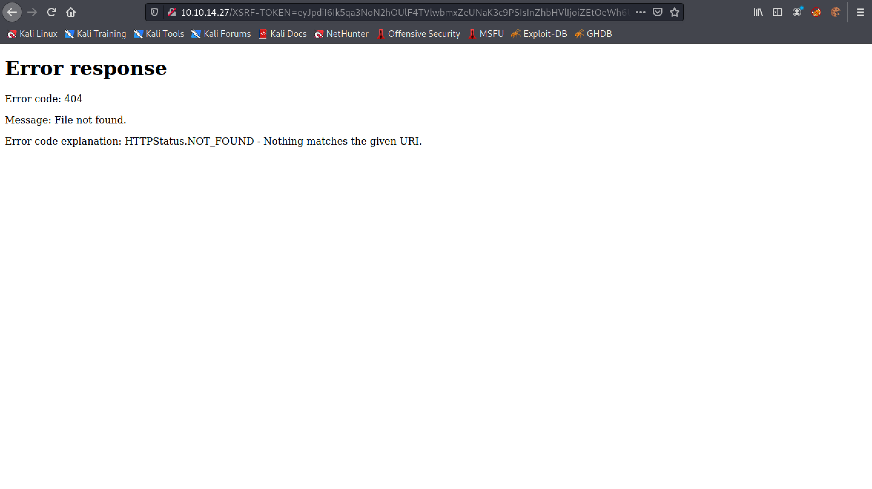 Error response page.