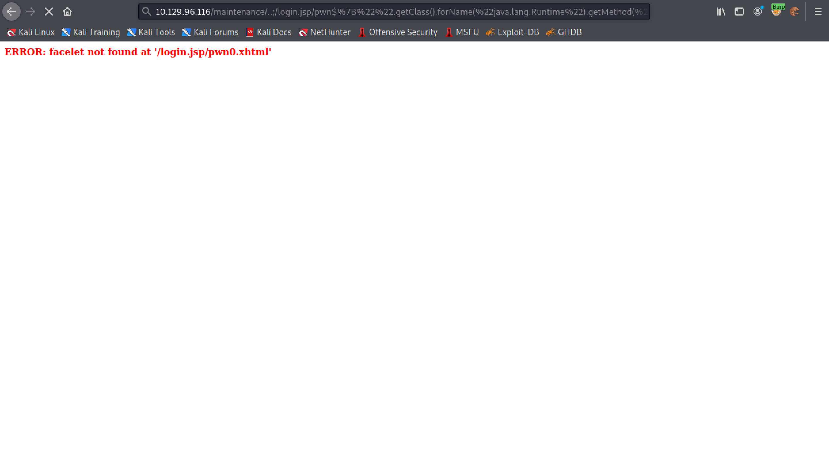 Executing the netcat reverse shell.
