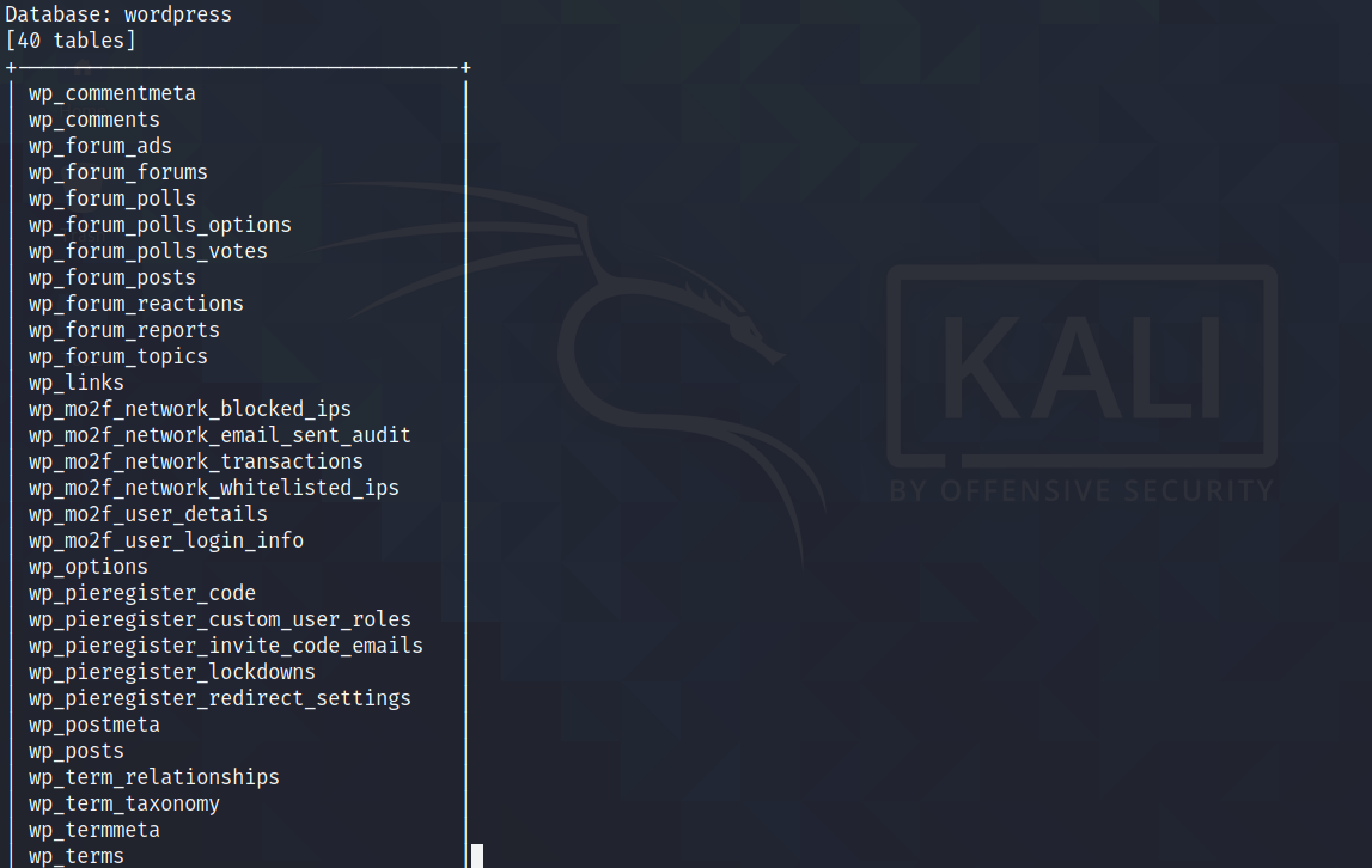 Running sqlmap to find the tables in a database.