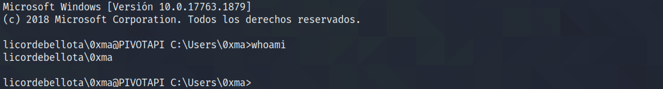 Logging into the target using SSH.