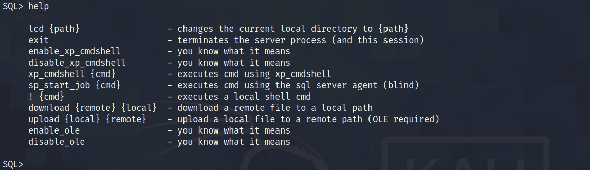 Running help to find the different commands for mssqlproxy.