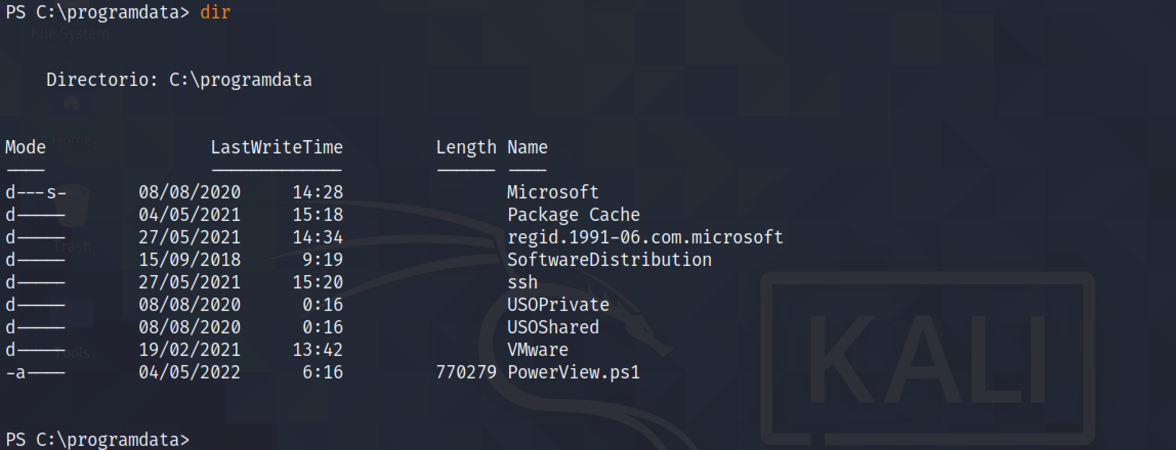 PowerView.ps1 PowerShell script copied successfully.