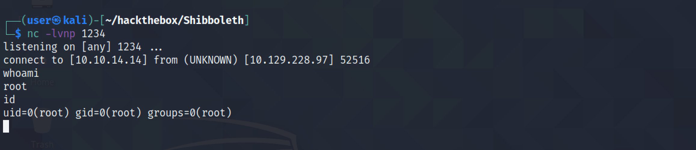 Receiving a reverse shell on the netcat listener.