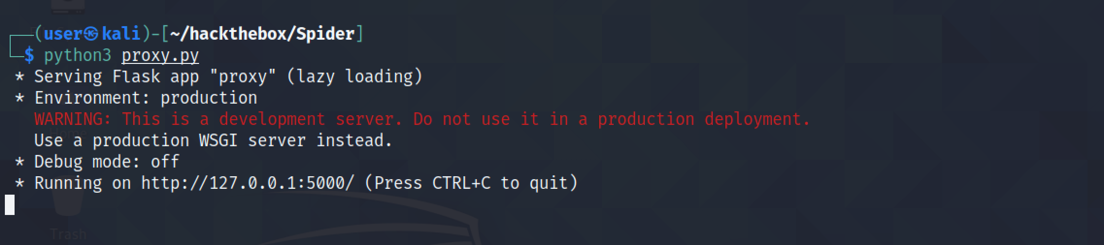 Running the Flask server.