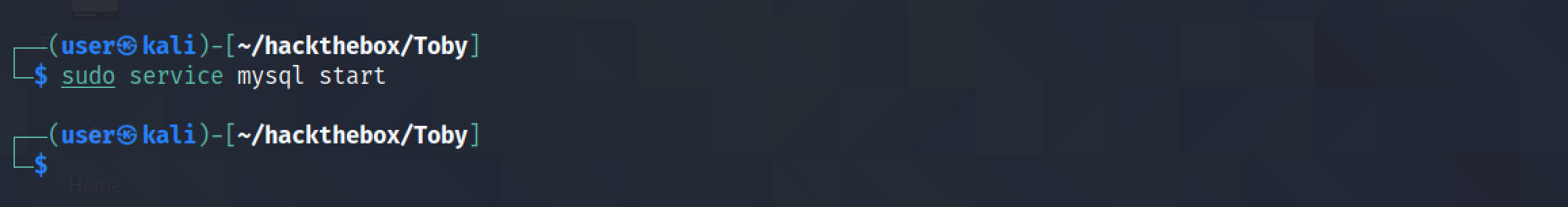 Starting the MySQL/MariaDB service.