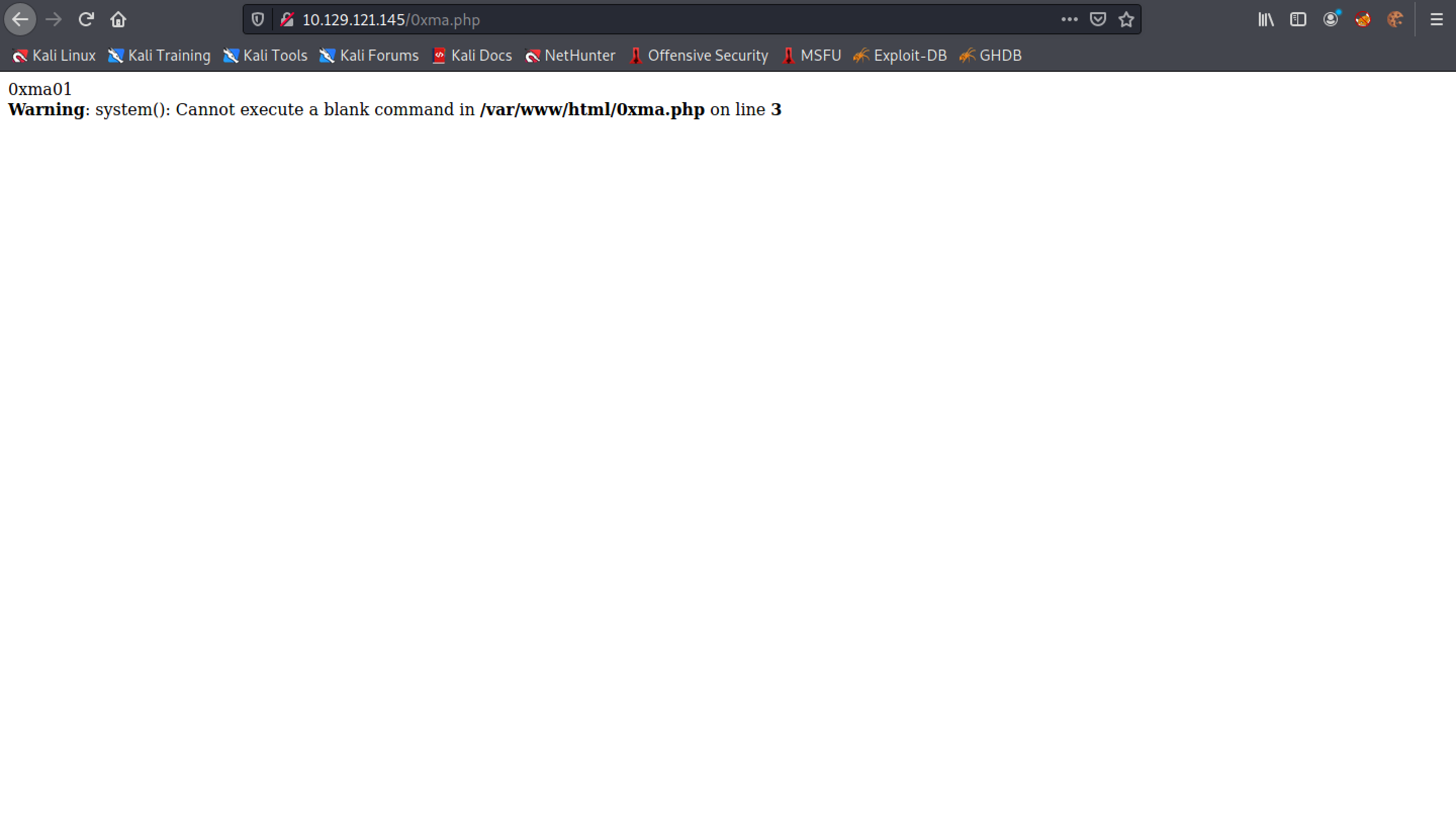 Accessing the web shell without a command.